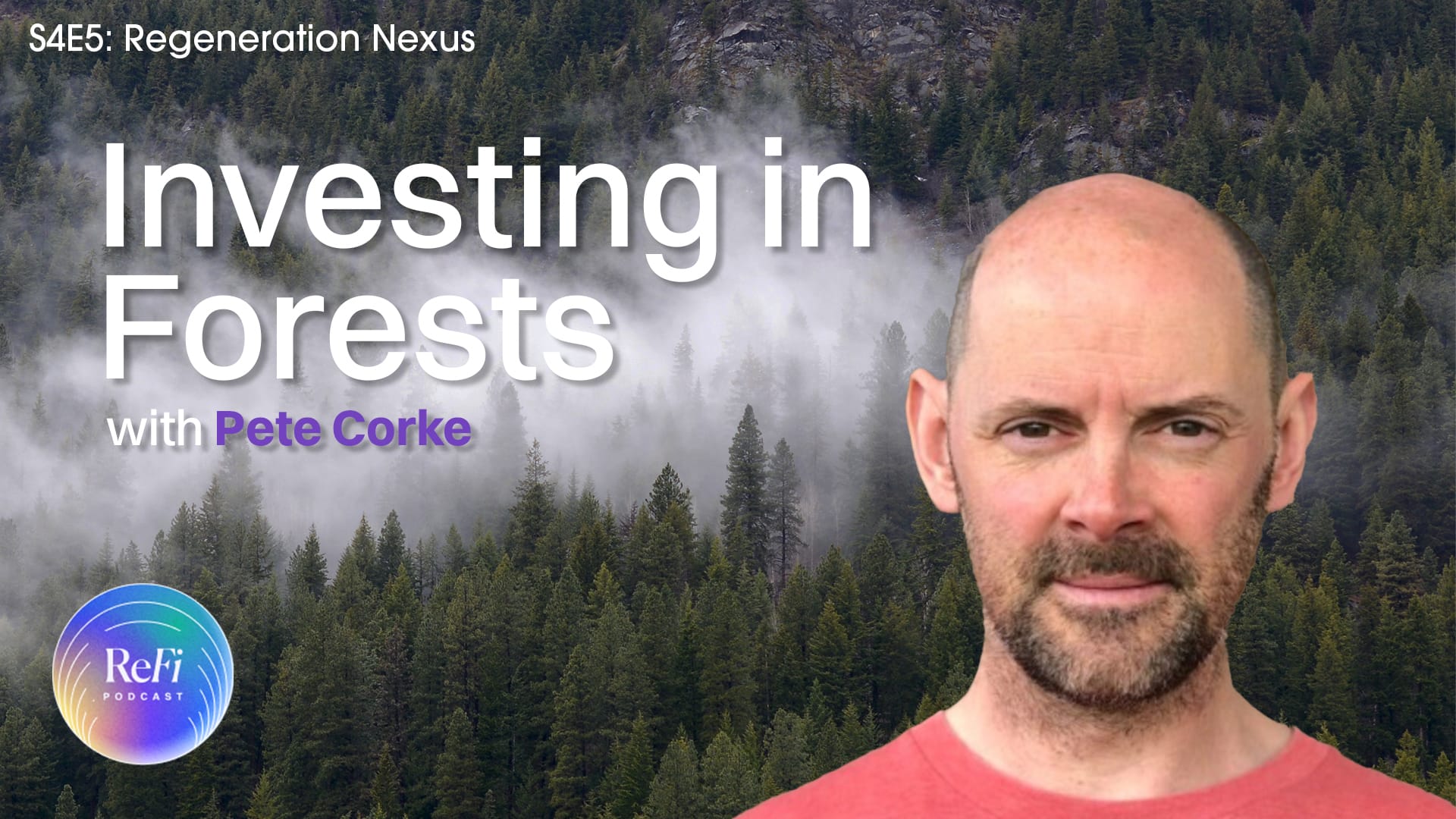 Investing in Forests with Pete Corke │ S4Ep5 🌲🎧