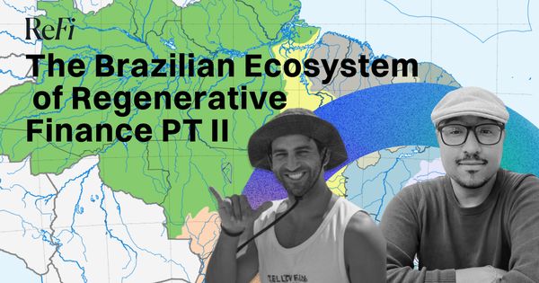 The Brazilian Ecosystem of Regenerative Finance PT II